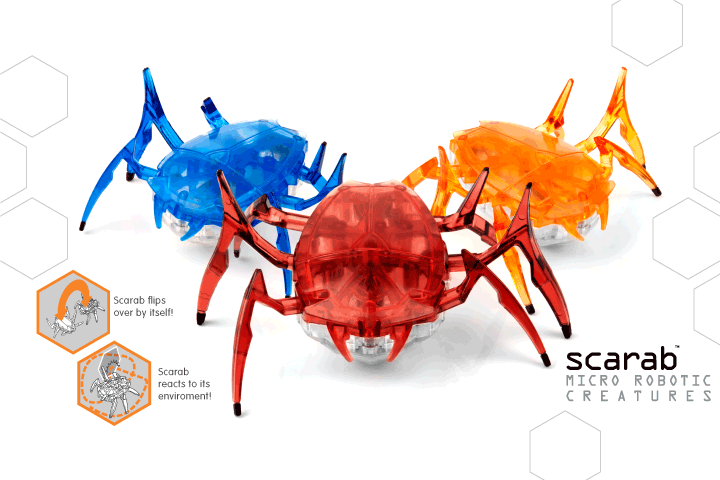 Scarab