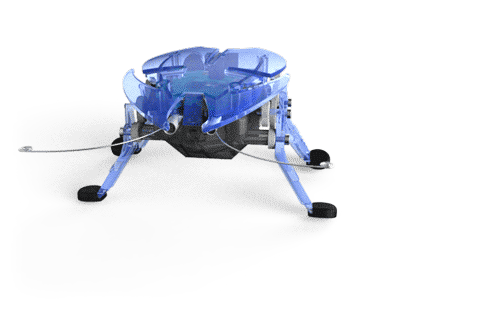 Hexbug Blue Beetle Micro Robotic Creature